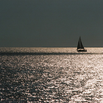 Sailboat, Tampabay