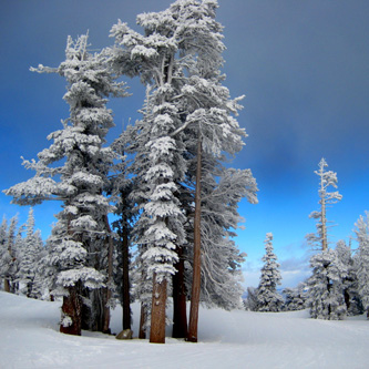 Lake Tahoe